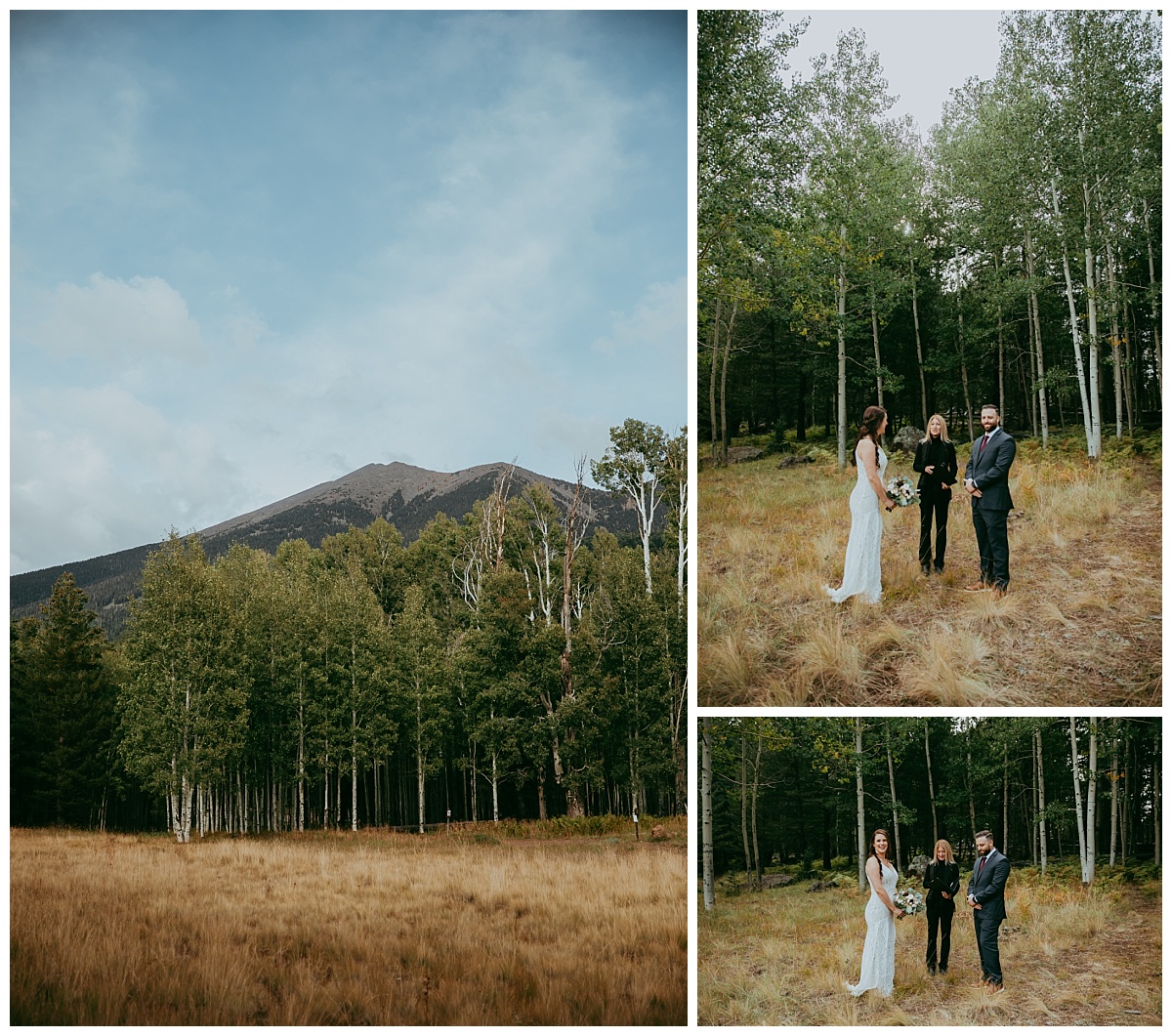 northern arizona mountain with bride, groom and officiant