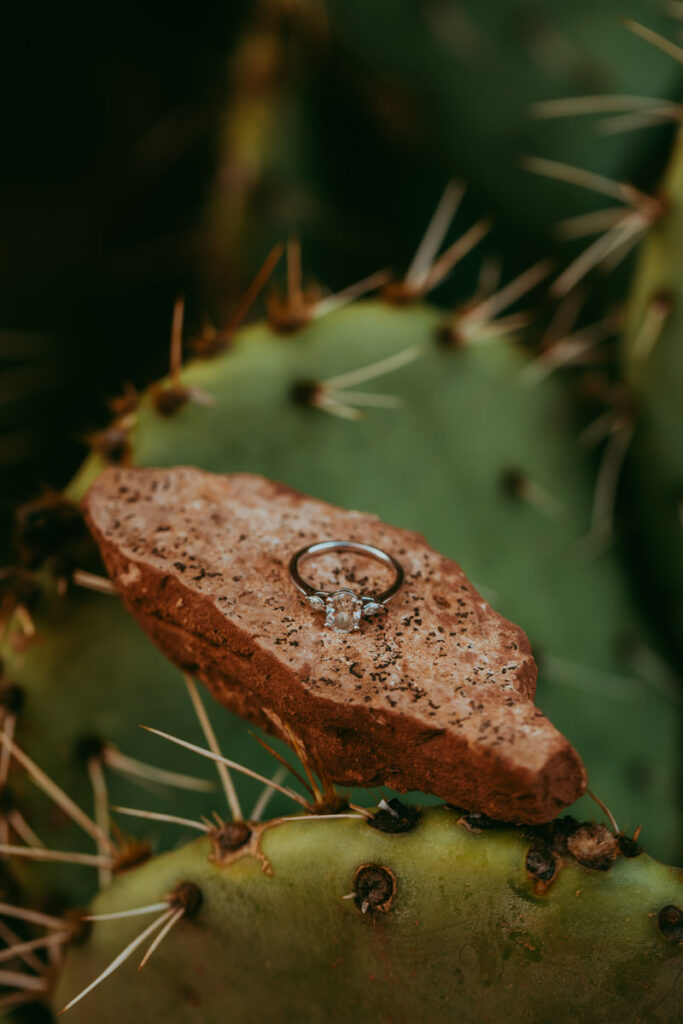 An engagement ring sits on top of a Sedona red rock propped on cactus needles. 